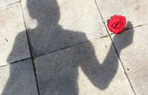 Schattenspiel mit Blume