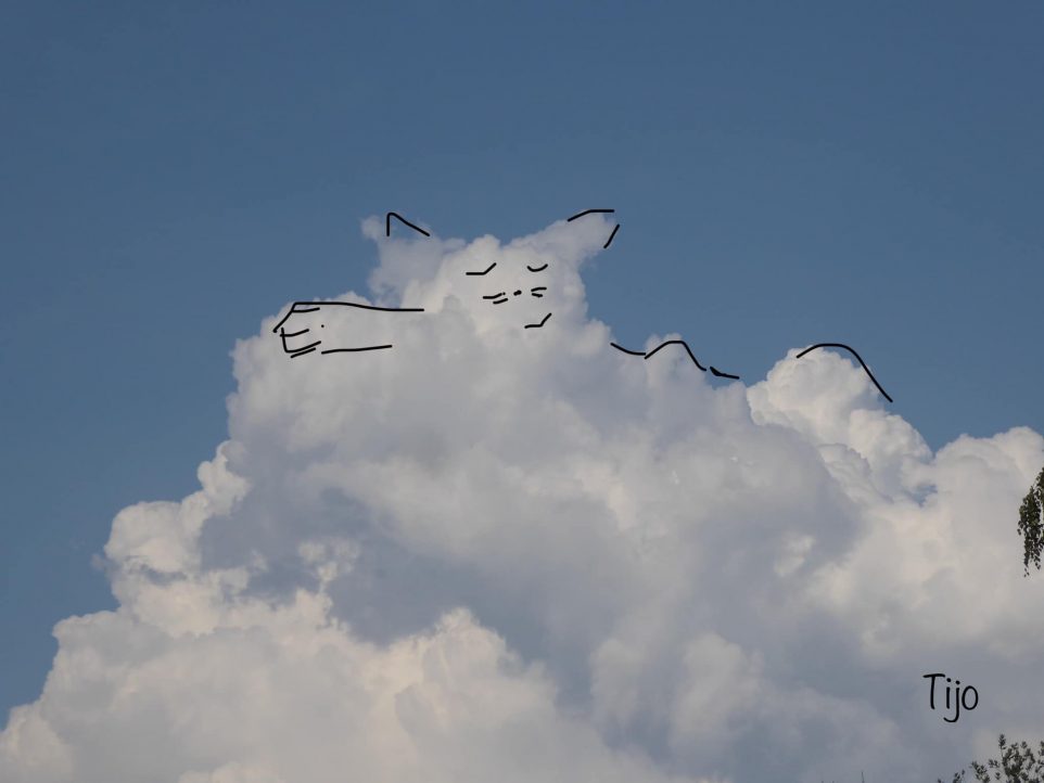 Wolkenkatze gemütlich