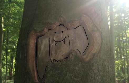 Baum Fledermaus