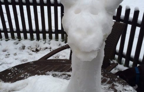 Schneegiraffe, Snowgiraffe