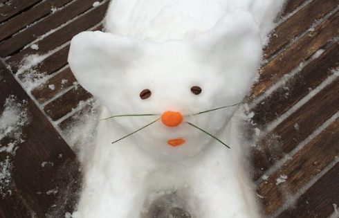 Snowcat, Schneekatze