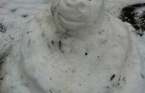 Schneeaffe, Snowmonkey