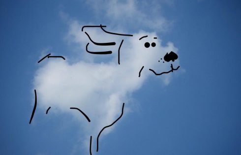 Wolken Hund