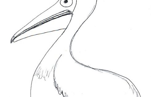 Ausmalbild Pelikan
