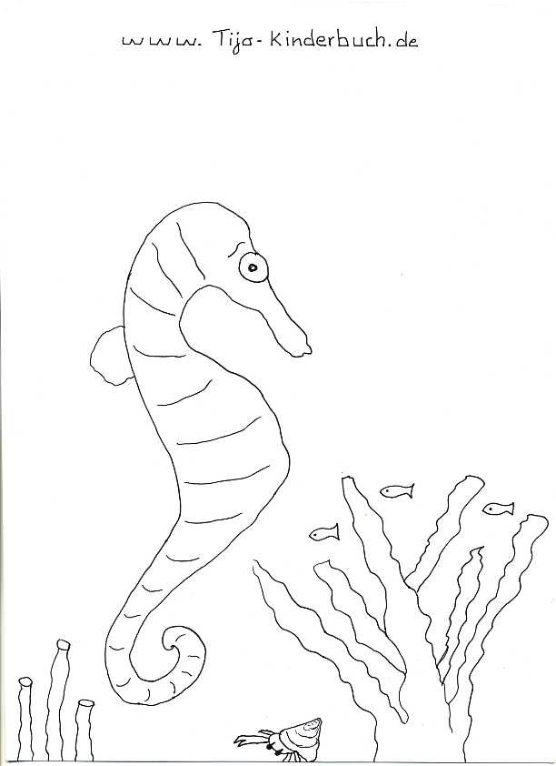63 Seepferdchen Ausmalbild Ausmabilder 2021